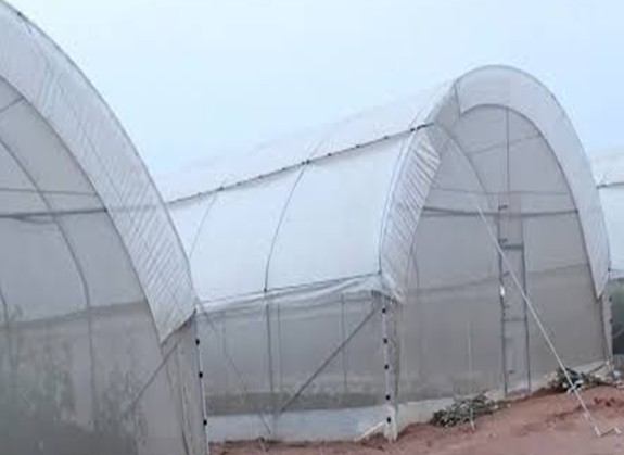 Greenhouses and Irrigation