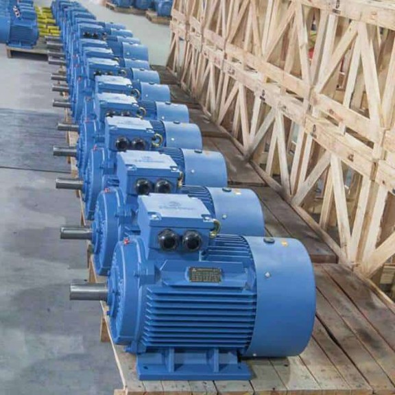 Heavy-duty Electric Motors