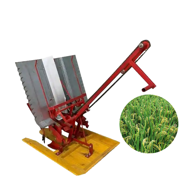 Manual Rice Transplanter